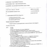 RANARISON Tsilavo jugement du 15 decembre 2015 avec l’ extrait plumitif VF et VM_Page_7-min