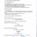 RANARISON Tsilavo jugement du 15 decembre 2015 avec l’ extrait plumitif VF et VM_Page_9-min