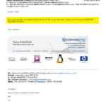 RANARISON tsilavo confirme le 6 mars 2009 que EMERGENT NETWORK est la maison mère de CONNECTIC_Page1