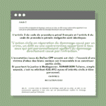 Aerticle 2 du CPP français Article 6 du CPP malgache l’action civile d’un associé est irrecevable
