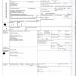 Envoi d’EMERGENT à CONNECTIC dossier douanes françaises EX1 2009_Page10