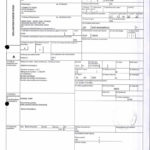 Envoi d’EMERGENT à CONNECTIC dossier douanes françaises EX1 2009_Page6