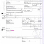 Envoi d’EMERGENT à CONNECTIC dossier douanes françaises EX1 2009_Page8